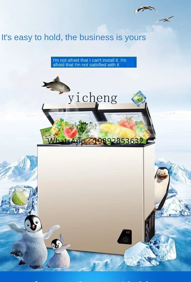 Food Storage And Temperature - Refrigerador Doméstico Compacto com Congelador, Econômico,