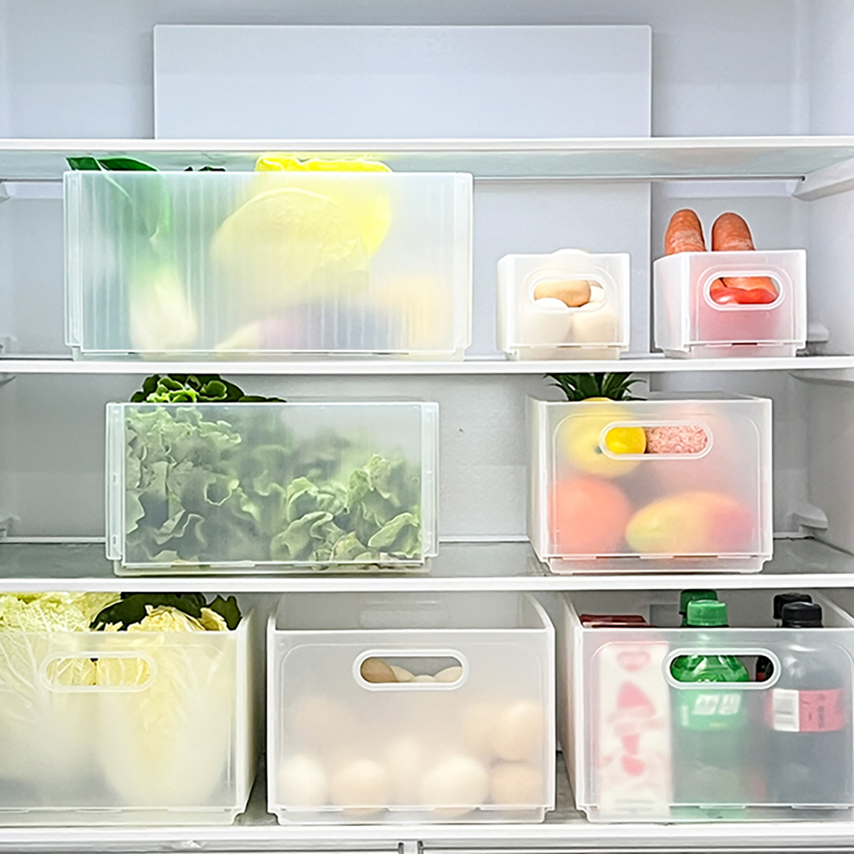 WORTHBUY Caixa de armazenament - Food Storage Without Plastic avaliação e preço