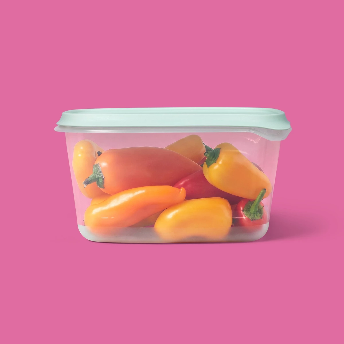 Novo Conjunto de 2 Recipientes - Food Storage Large Plastic Containers avaliação e preço